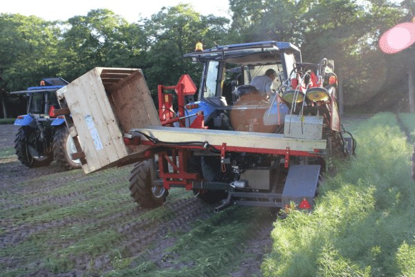 FFennel and celery Harvester