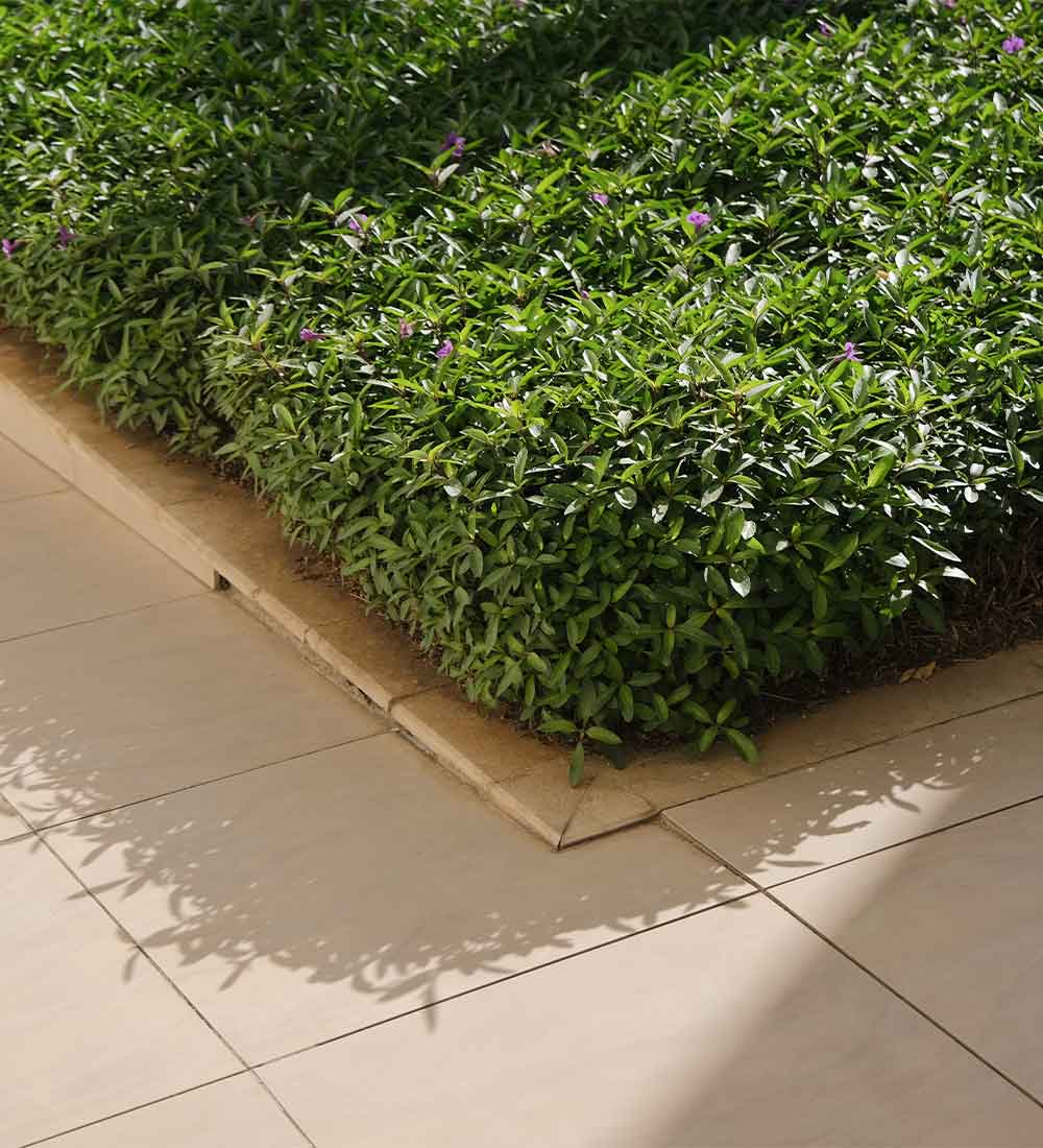 Garden-Edging-06 Garden Edging