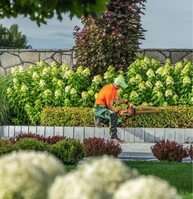 Commercial Landscape Contractors 5