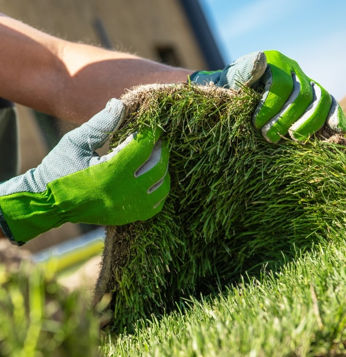 Artificial Lawn Adelaide 4