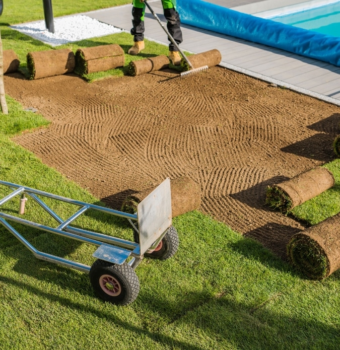 Adelaide Landscaping Group Lawn Installation Adelaide 1