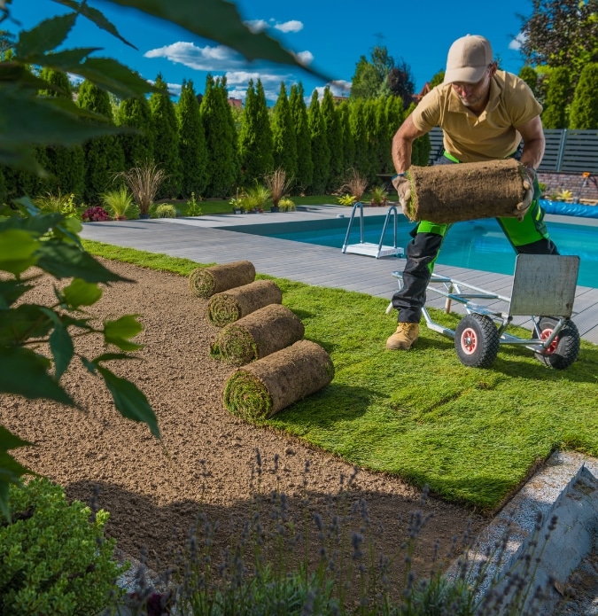 Adelaide Landscaping Group Lawn Installation Adelaide 2