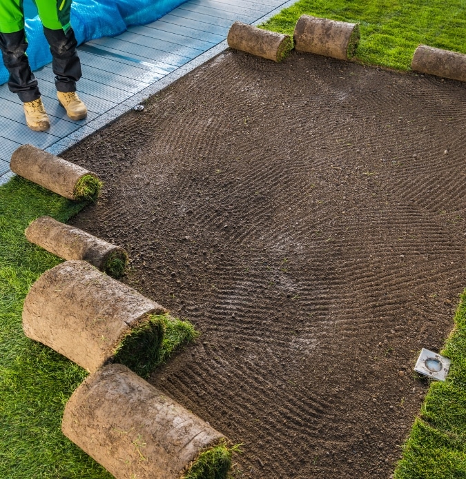 Adelaide Landscaping Group Lawn Installation Adelaide 3