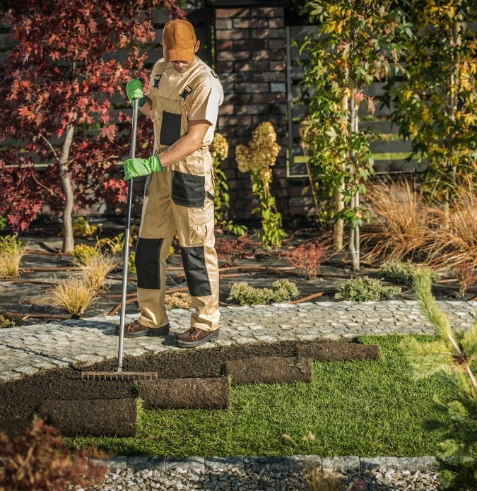 Adelaide Landscaping Group Lawn Installation Adelaide 4