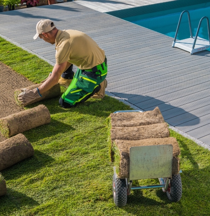 Adelaide Landscaping Group Lawn Installation Adelaide 5