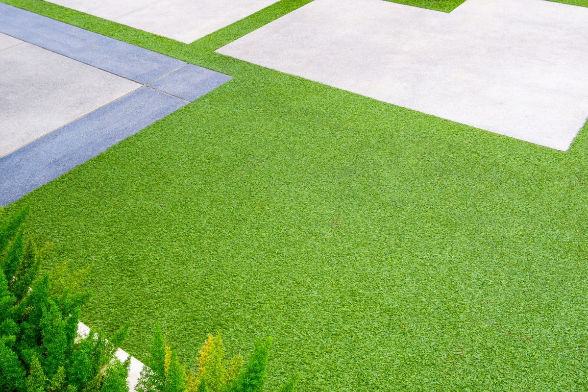 Adelaide Lawn Artificial Lawn Adelaide