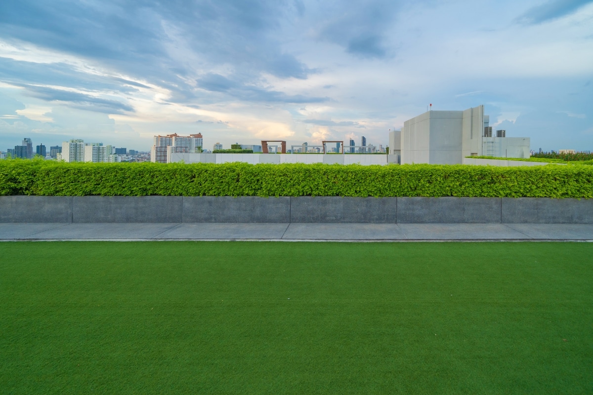 Adelaide Lawn Versatile Turf for Homes & Public Spaces