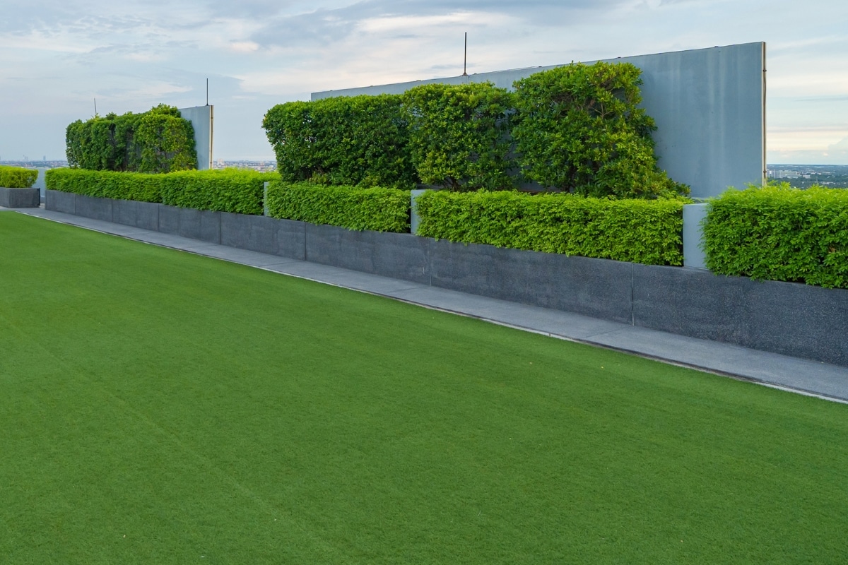 Adelaide Lawn Artificial Turf Adelaide