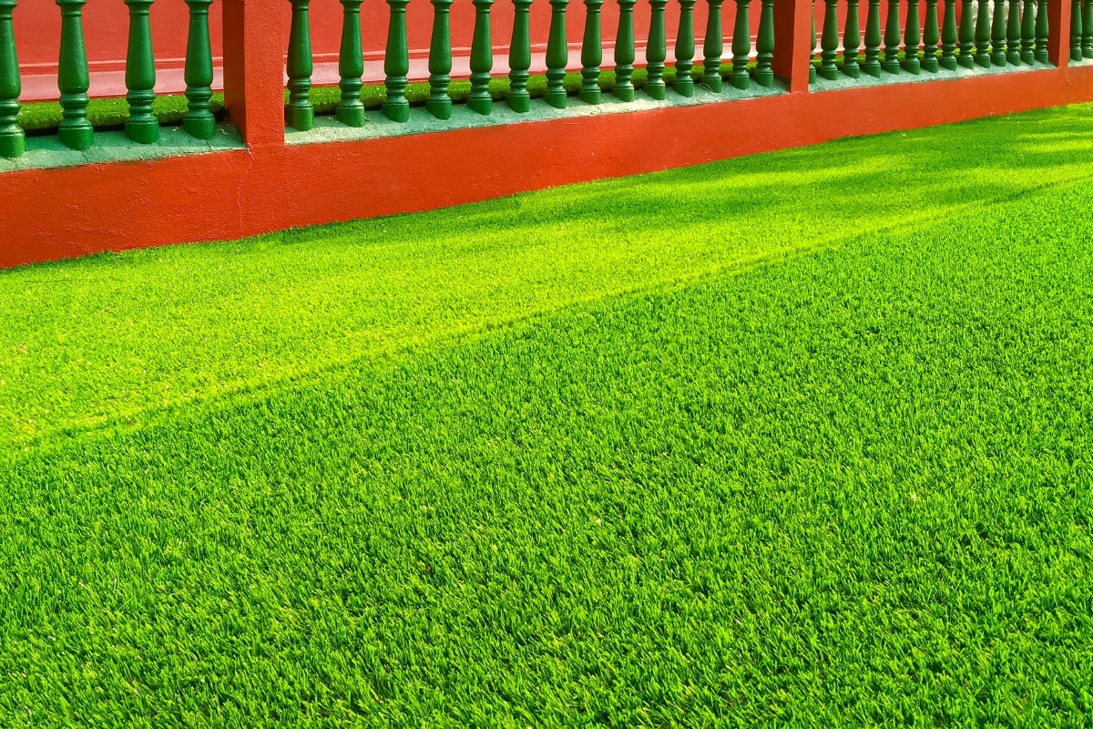 Adelaide Lawn Artificial Turf Adelaide