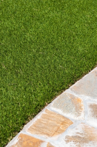 Adelaide Lawn Adelaide Lawn