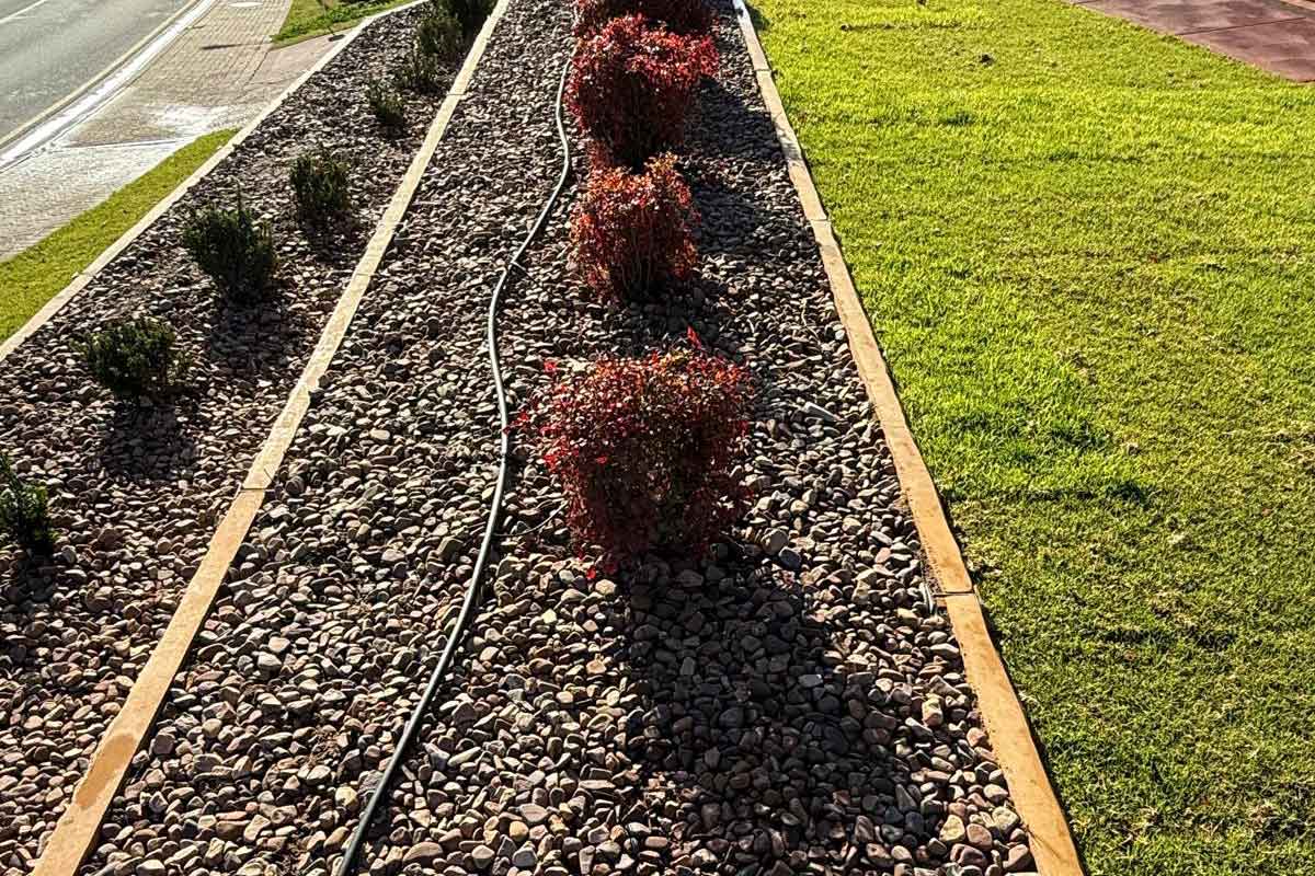 Adelaide-Lawn-Instant-Lawn-2 Instant Lawn Adelaide