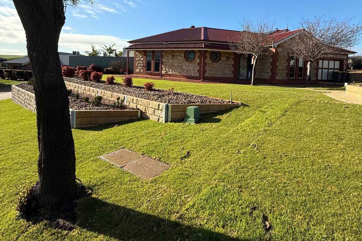 Adelaide-Lawn-Instant-Lawn-4 Instant Lawn Adelaide