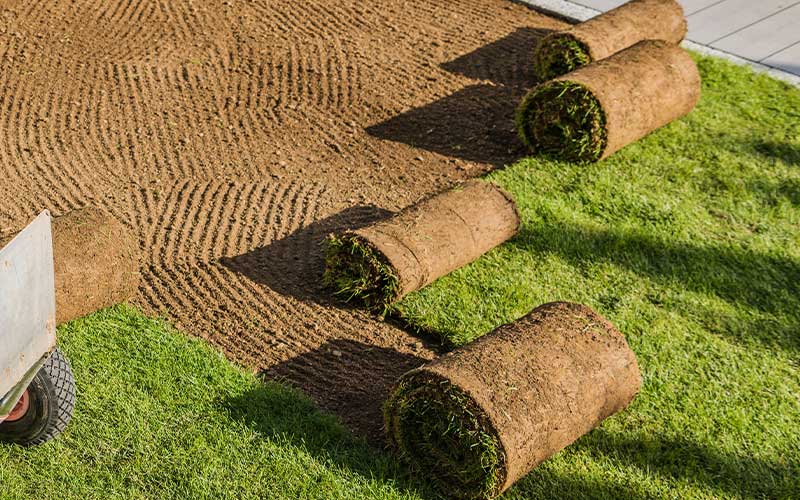 Instant-Lawn-Service Instant Lawn Adelaide