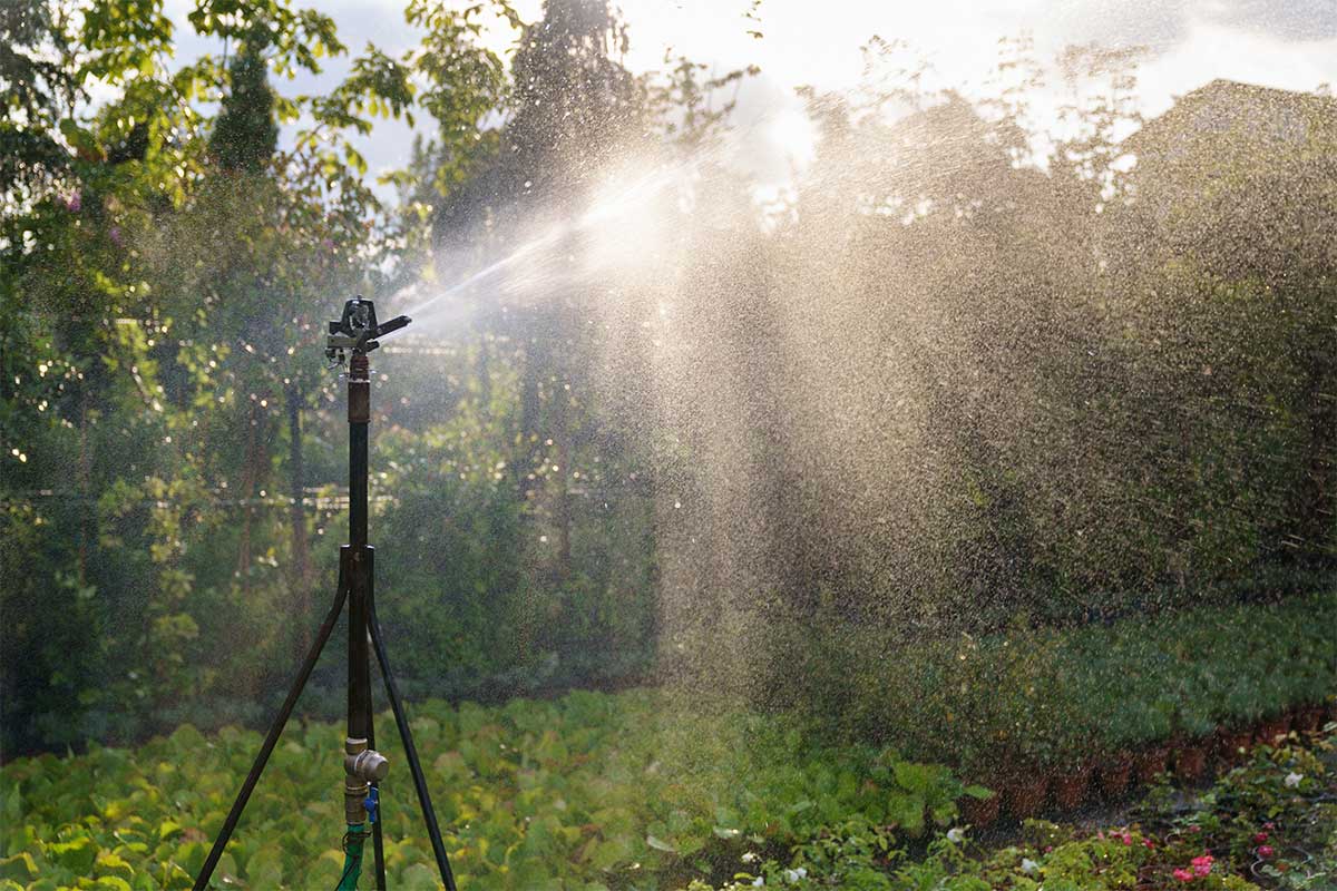 Irrigation-Installation-Adelaide-2 Irrigation Installation Adelaide