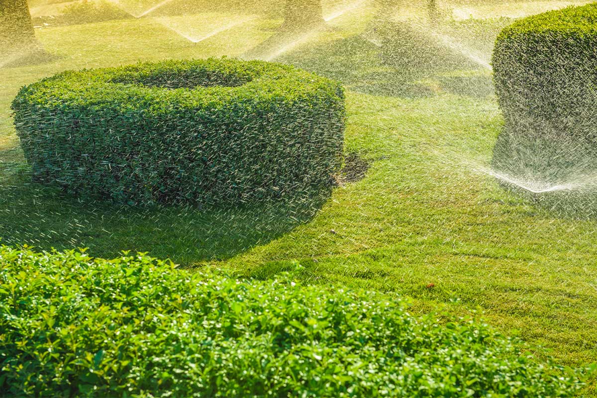 Irrigation-Installation-Adelaide-6 Irrigation Installation Adelaide