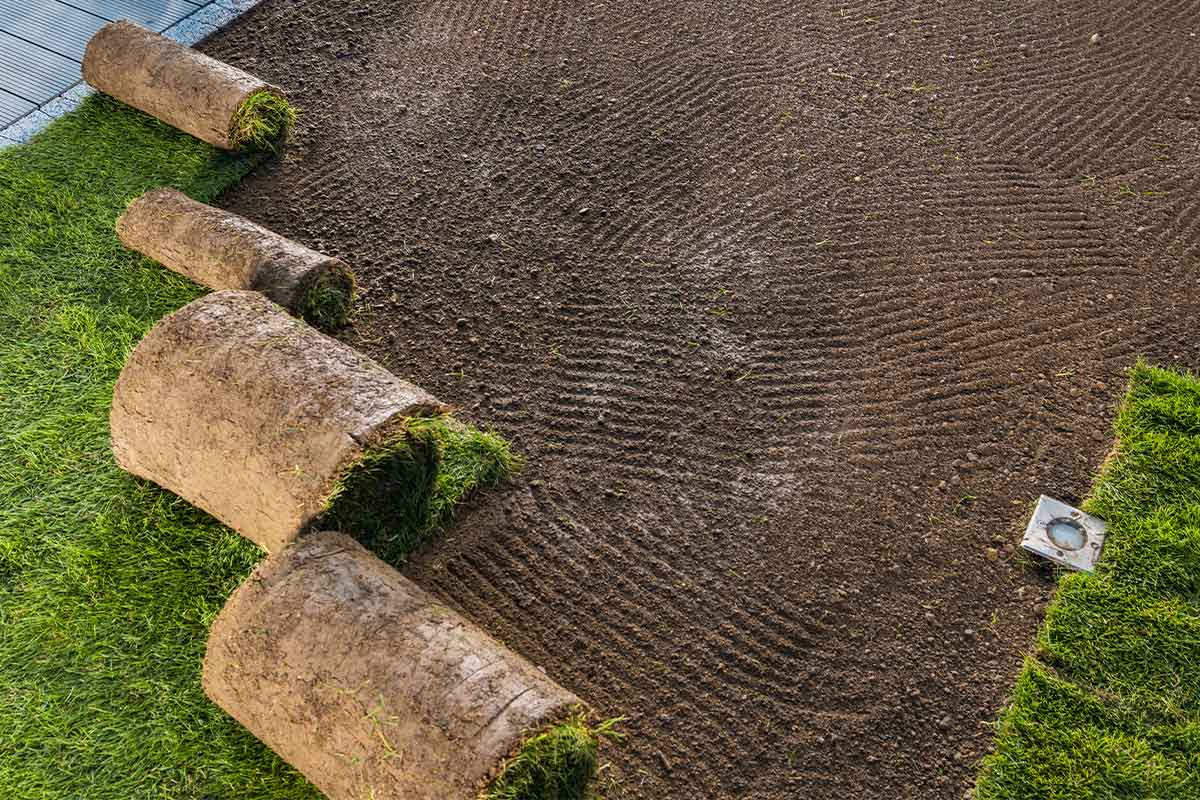 Lawn-Installation-Adelaide-02 Lawn Installation Adelaide