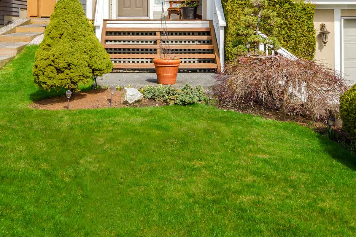 Lawn-Installation-Adelaide-03 Lawn Installation Adelaide