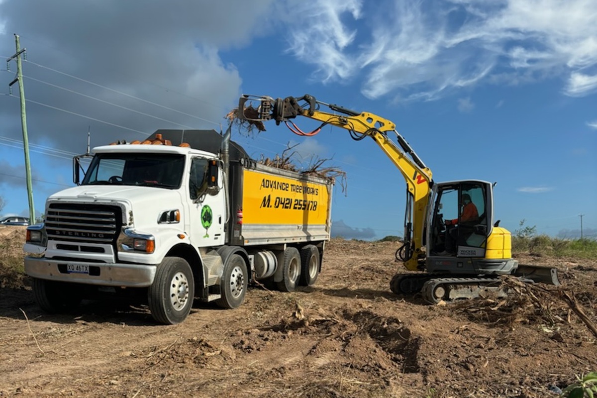 Tree Services Hervey Bay | Advance Tree Works