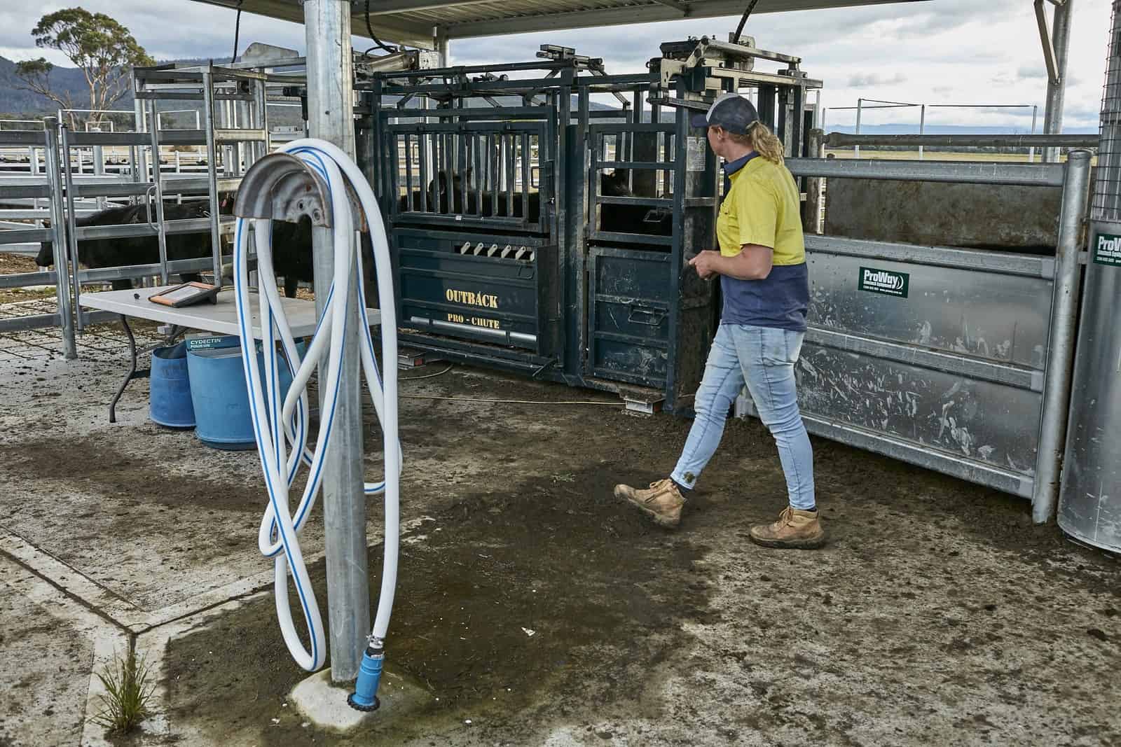 GH Napier & Son AGDATA Australia