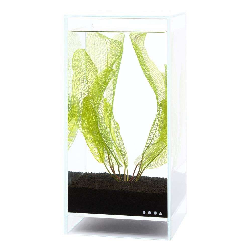 DOOA NEO GLASS AIR 20x20x30 – Aggies Aquariums