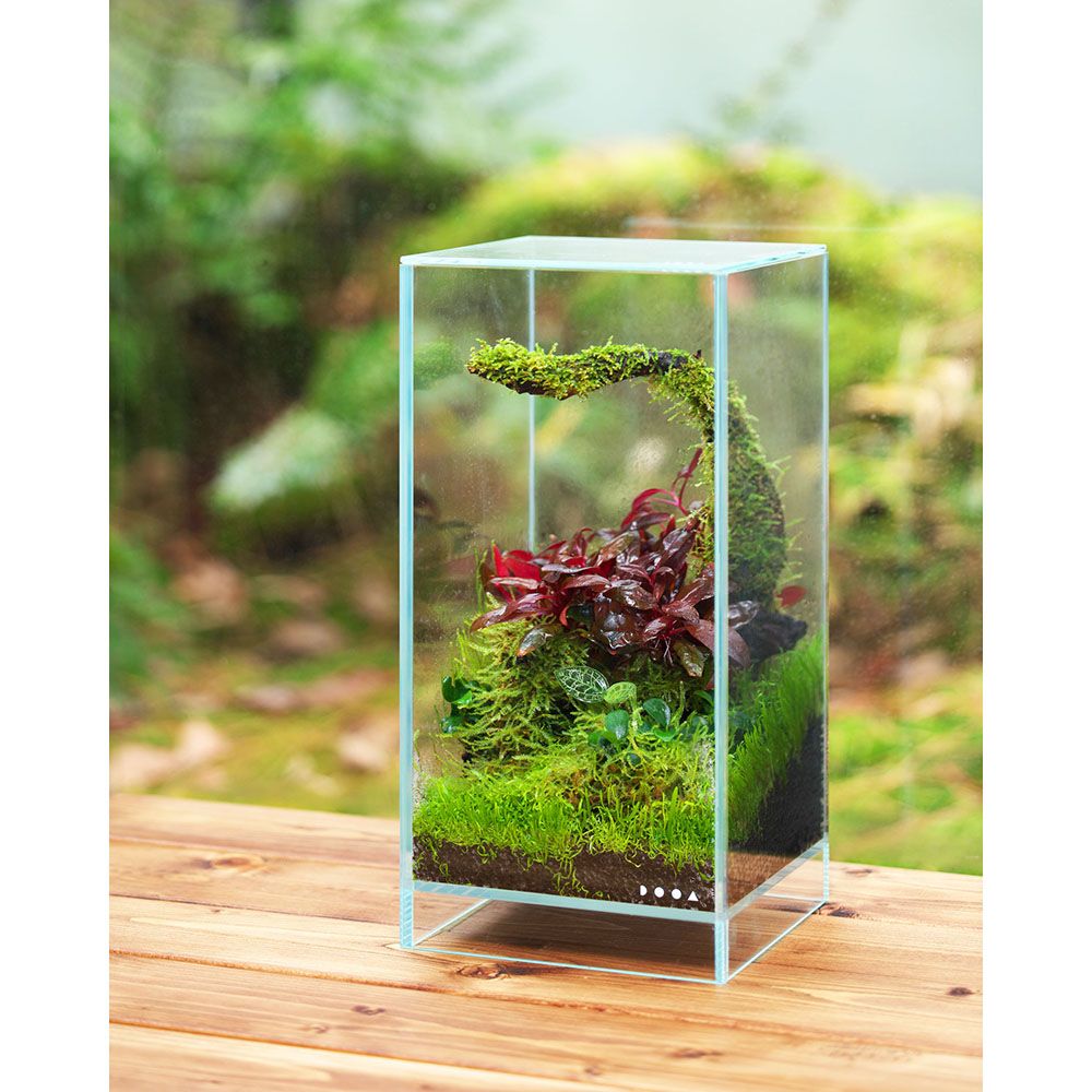 DOOA NEO GLASS AIR 20x20x30 – Aggies Aquariums