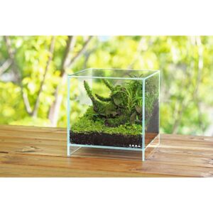 DOOA NEO GLASS AIR 20x20x30 – Aggies Aquariums
