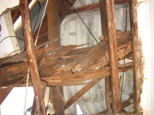 Wood damage by termites