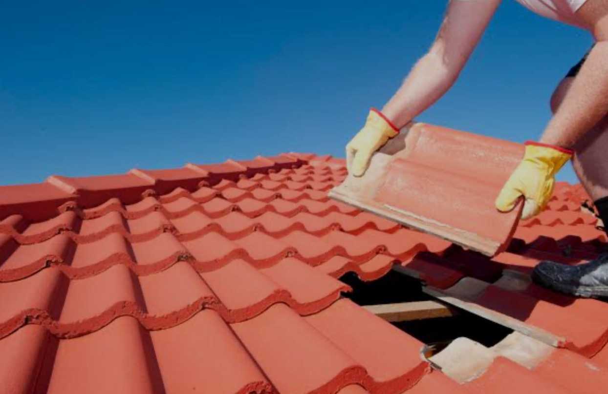 Roof Repair1 Roof Repair1