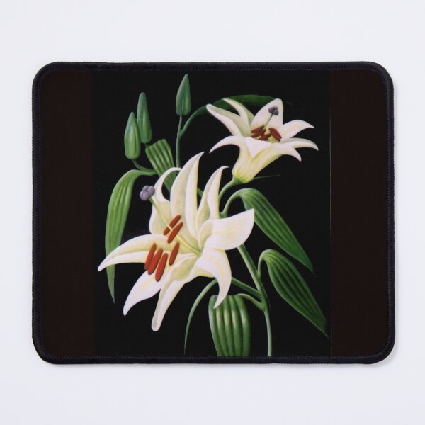 Desk Mats, Mouse pads,Desk mat, mouse pad, office decor, computer accessories, mouse pad shop, desk mat shop, decor ideas, decorating ideas, original art for sale, Australian Artist, affordable art for sale, Adelaide Artist, Avril Thomas, South Australian Artist, artists you should know, Australian artists you should know, South Australian Artist you should know, shop local, shop local Australia, Shop local Mouse pad, Adelaide Mouse pad, Melbourne mouse pad, Sydney Mouse pad, Australian mouse pads, The best mouse pad, office decoration ideas, office decoration ideas for work, small businesses in Adelaide, Mouse pad, colourful mouse pad, mousepad with artwork, best mouse pad,