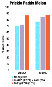 Trial of Outright 770 weed control results with Prickly Paddy Melon