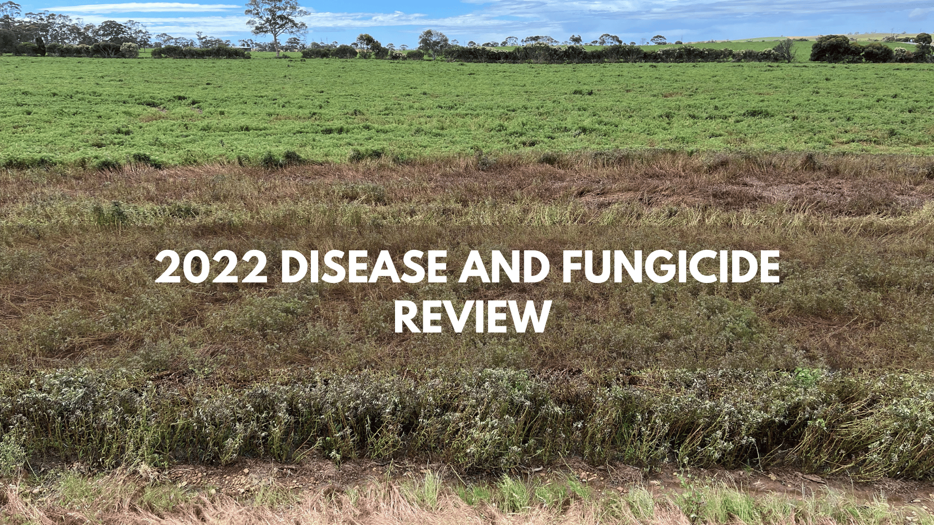 2022 Disease And Fungicide Review - AW Vater & Co