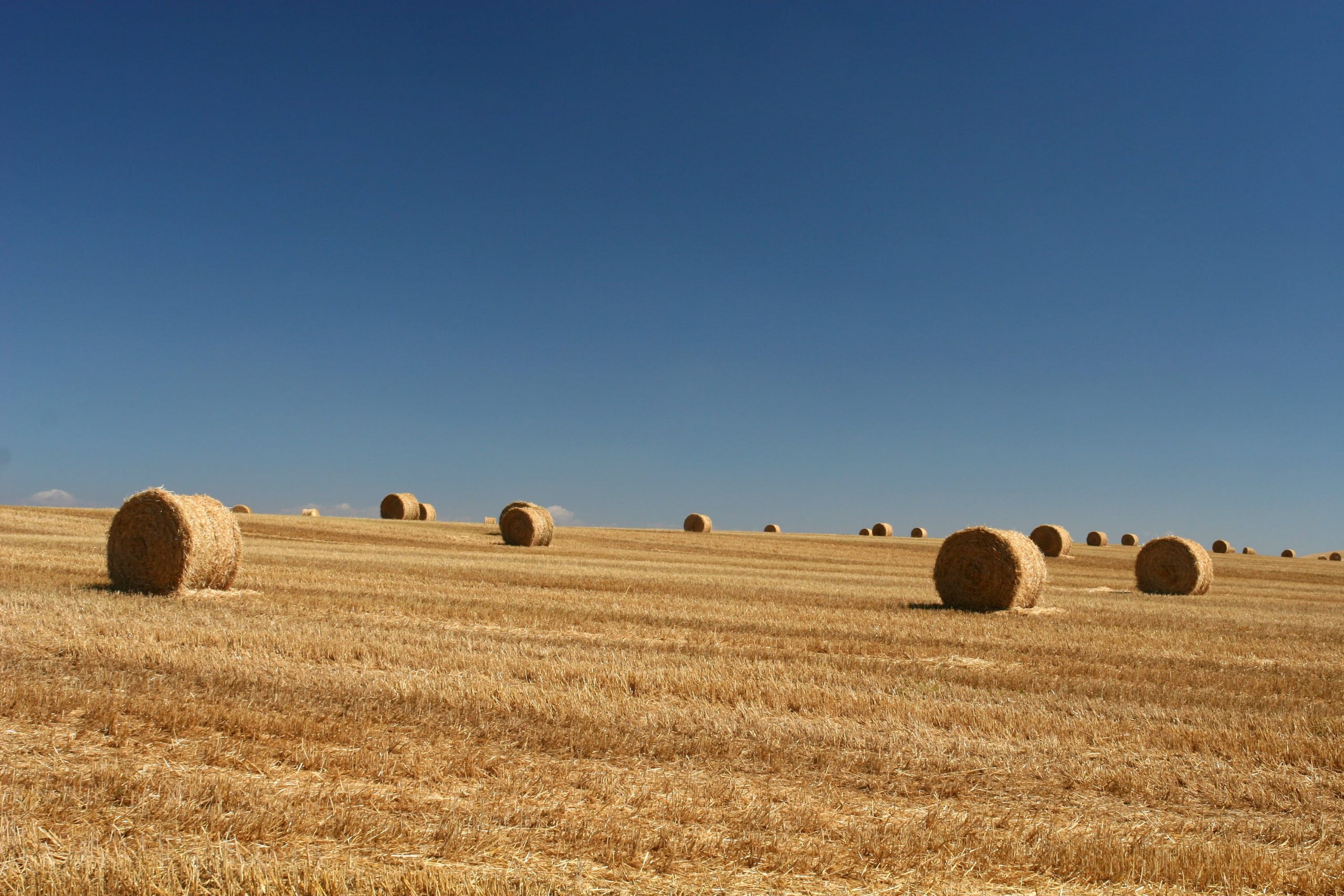 Round Bale Twine