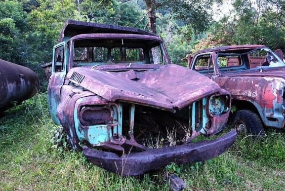 an old scrapped car under a tree