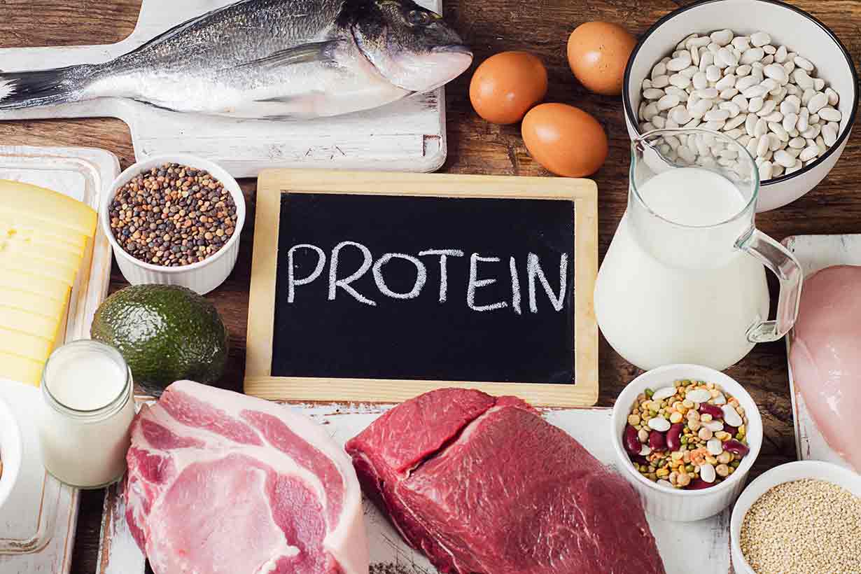 Protein sources
