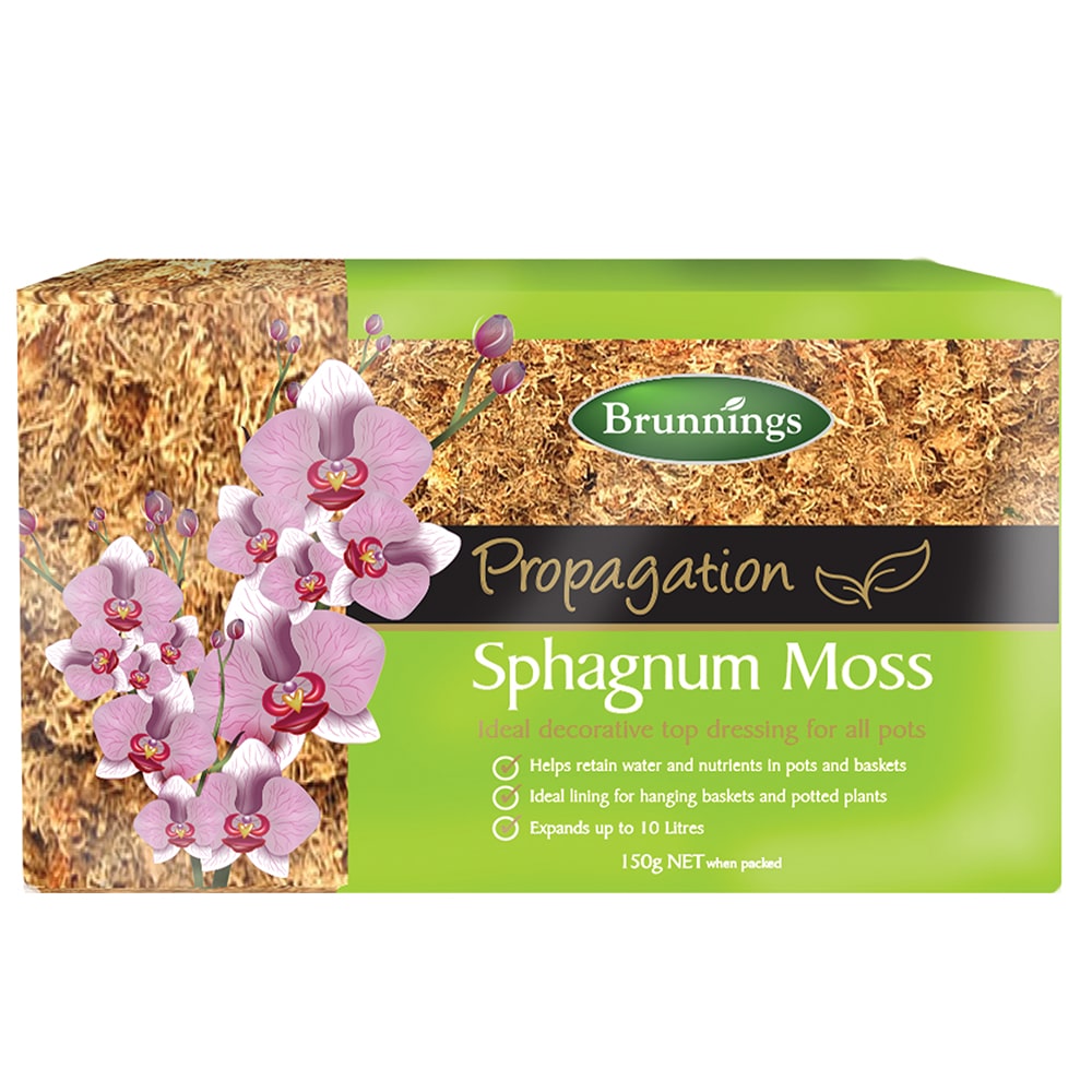 Sphagnum Moss 150g - Brunnings