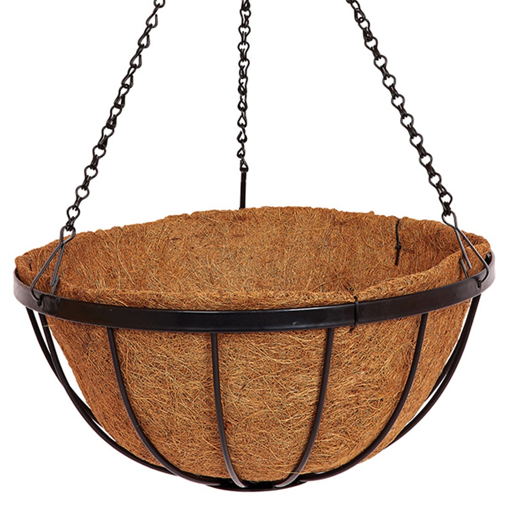 Georgian Hanging Basket 35cm Brunnings 3293