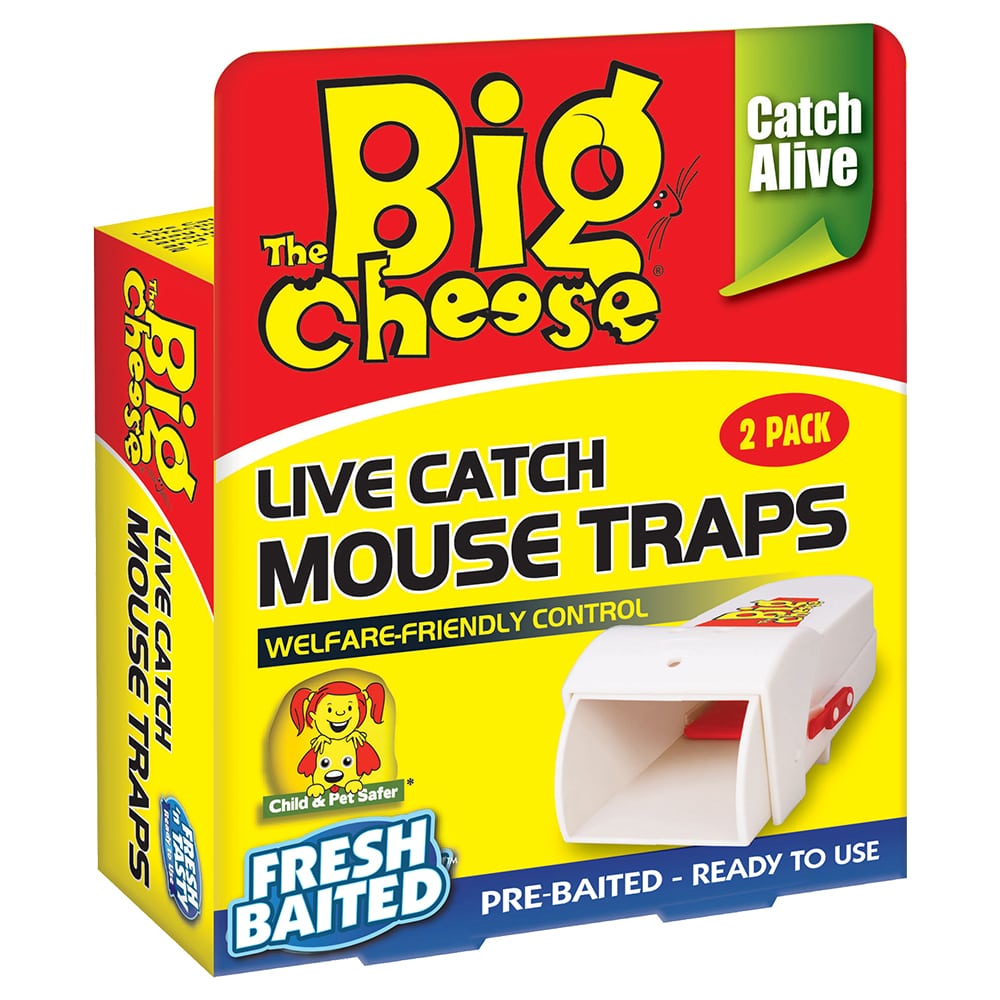 2 Pack Humane Mouse Trap  Catch and Release Mouse Traps That Work