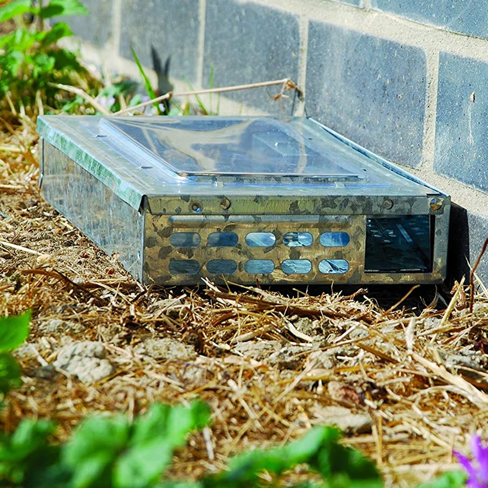 Live Catch Multi Mouse Trap - Large - Brunnings
