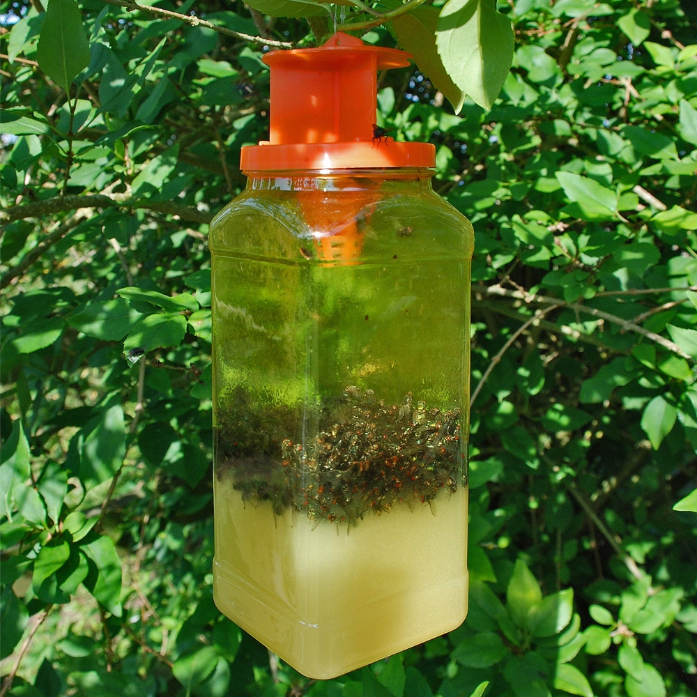 Disposable Fly Trap - Brunnings