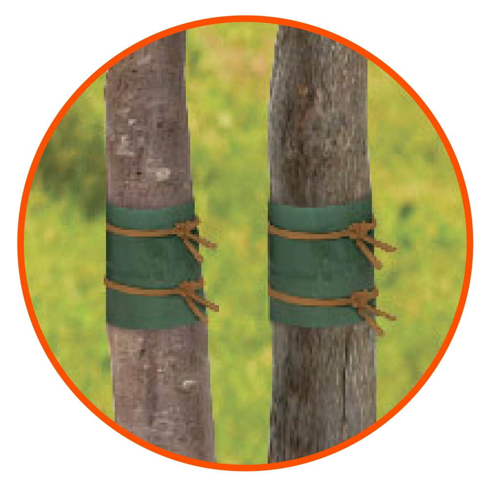 Fruit Tree Grease Band Brunnings