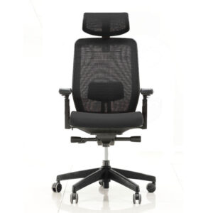 Ergo R8 Mesh Chair