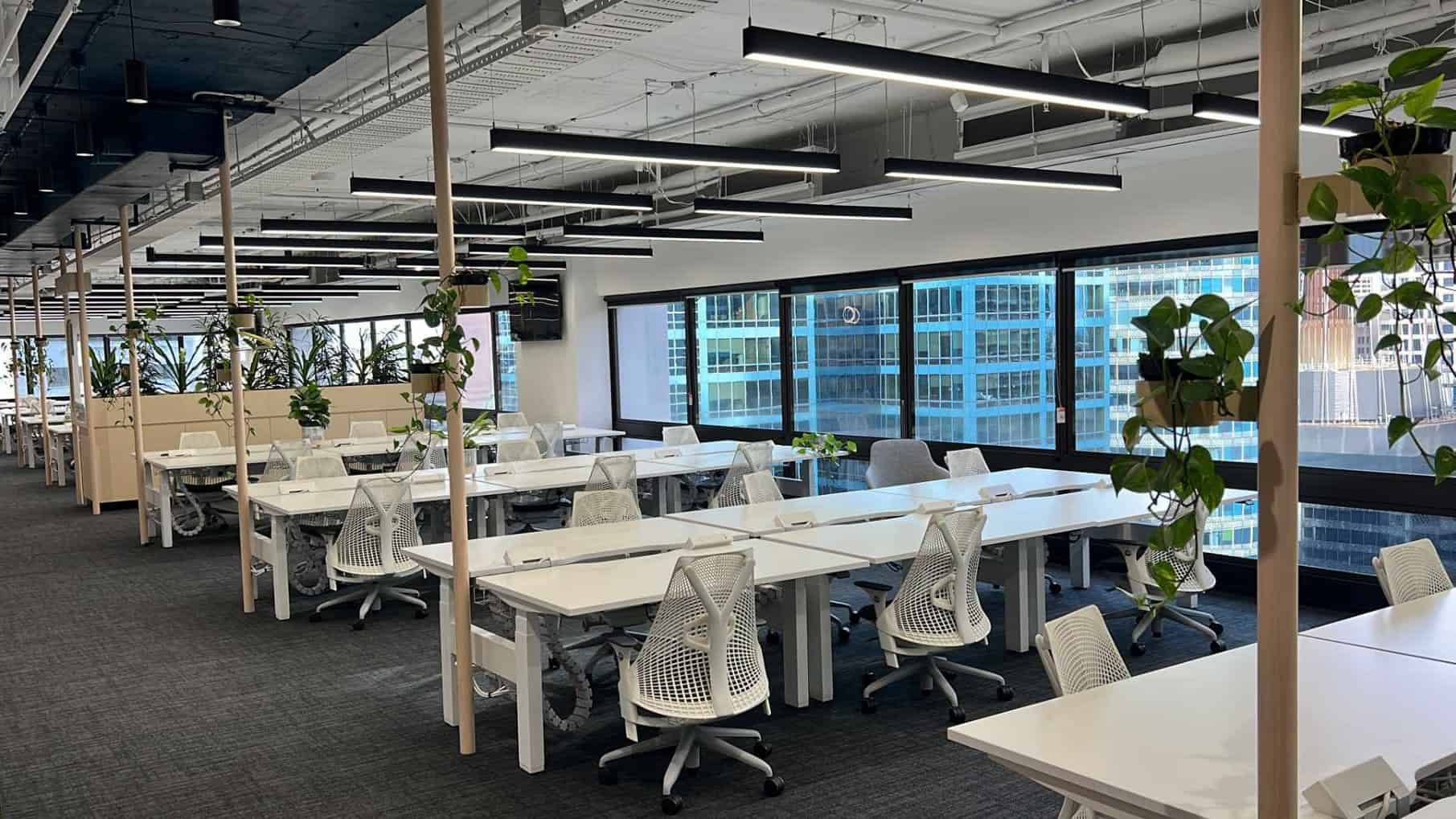 Rows of Herman Miller Sayl Chairs in a high rise office setting.