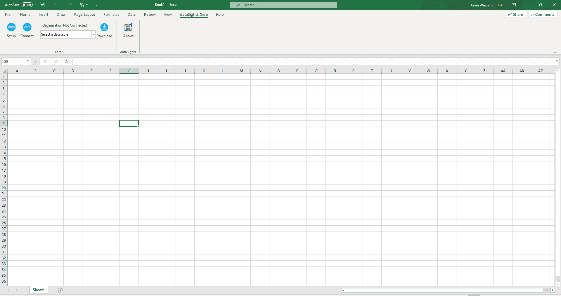 dataSights builds custom Excel Add Ins