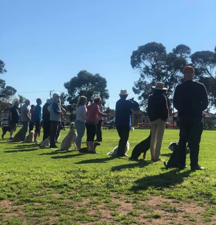Gepps Cross Dog Training Adelaide