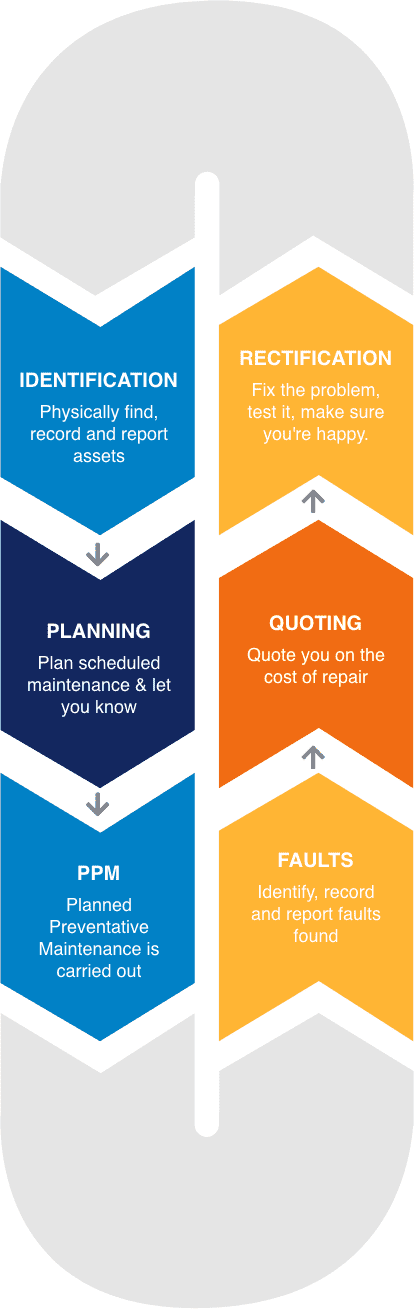 Group 558 Electric Results Steps