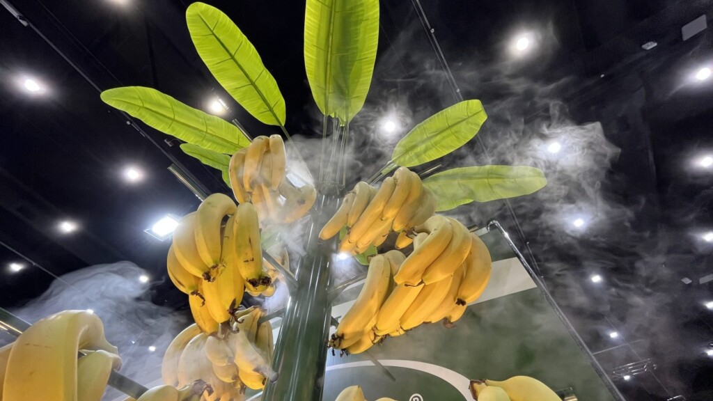 bananas in a supermarket