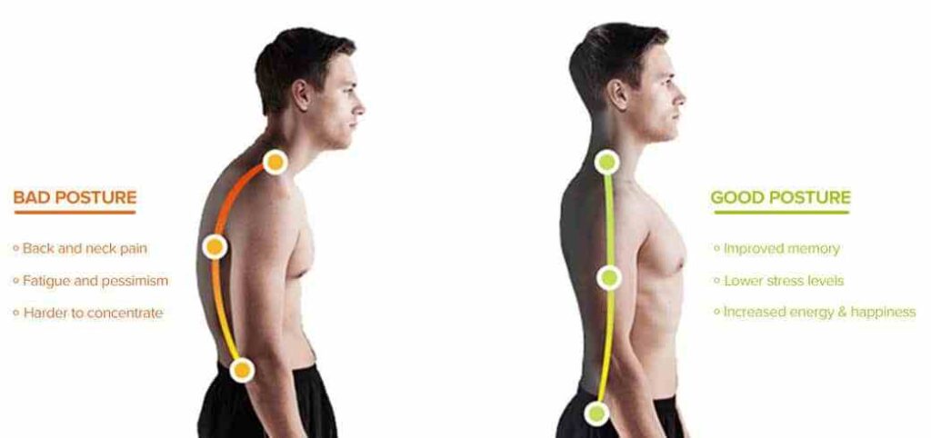 Bad Posture - Osteopathy for Back Pain Ashburton | Equilibrium SAS