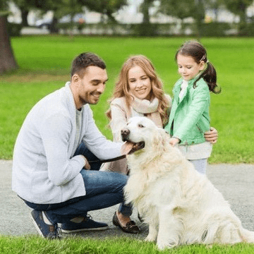 Family-with-pet Family with pet