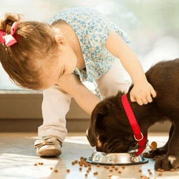 Kid-feeding-pet Kid feeding pet