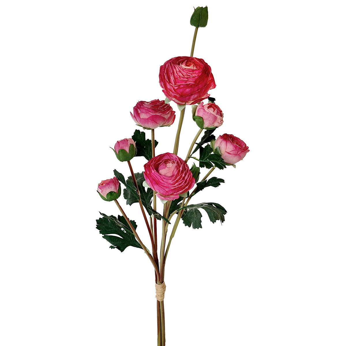 Artificial Ranunculus Bundle - 60cmL / Pink - Floral Craft